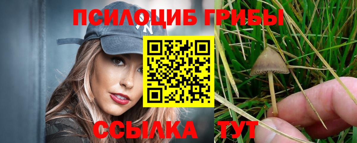 Галлюциногенные грибы Psilocybe Семёнов